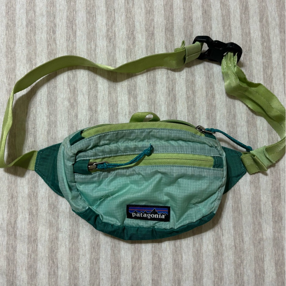 Patagonia Hip Pack